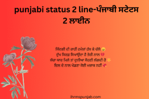 punjabi status 2 line-ਪੰਜਾਬੀ ਸਟੇਟਸ 2 ਲਾਈਨ