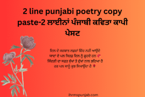 2 line punjabi poetry copy paste-2 ਲਾਈਨਾਂ ਪੰਜਾਬੀ ਕਵਿਤਾ ਕਾਪੀ ਪੇਸਟ