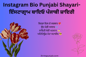 Instagram Bio Punjabi Shayari-ਇੰਸਟਾਗ੍ਰਾਮ ਬਾਇਓ ਪੰਜਾਬੀ ਸ਼ਾਇਰੀ