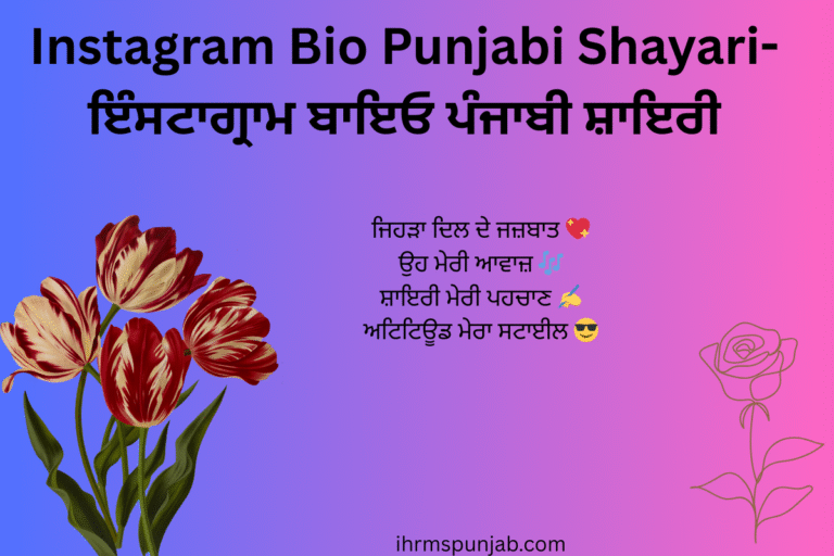 Instagram Bio Punjabi Shayari-ਇੰਸਟਾਗ੍ਰਾਮ ਬਾਇਓ ਪੰਜਾਬੀ ਸ਼ਾਇਰੀ